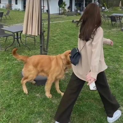 组织者 封面